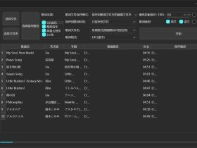 LDDC：精准歌词下载神器，支持多平台多格式一键匹配