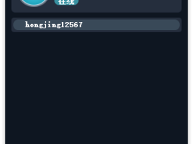 Radmin LAN:和朋友一起畅玩局域网游戏的完美解决方案