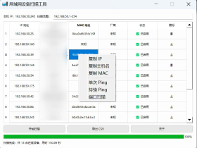 局域网设备扫描工具：快速检测IP占用，网络管理更高效